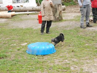 2010-05-22_ntb_8961