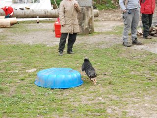 2010-05-22_ntb_8962