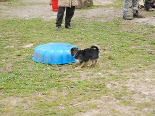 2010-05-22_ntb_8963