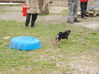 2010-05-22_ntb_8964