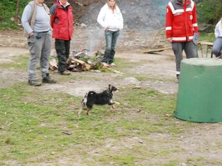 2010-05-22_ntb_8965