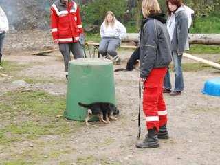 2010-05-22_ntb_8971