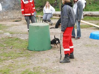 2010-05-22_ntb_8972