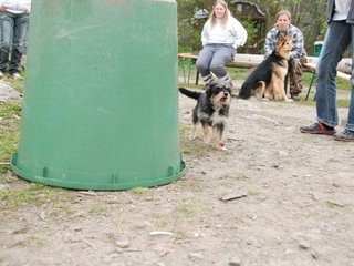 2010-05-22_ntb_8975