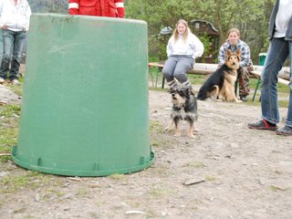 2010-05-22_ntb_8976