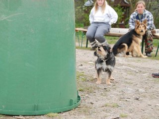 2010-05-22_ntb_8977