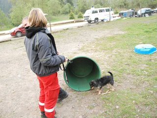 2010-05-22_ntb_8979