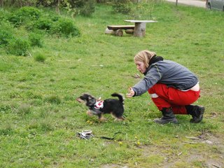 2010-05-22_ntb_8981