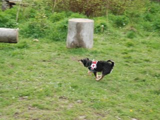 2010-05-22_ntb_8982
