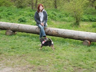 2010-05-22_ntb_8984