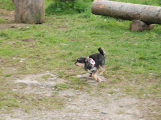 2010-05-22_ntb_8986