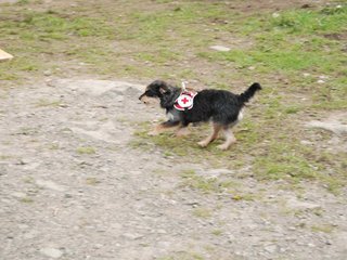 2010-05-22_ntb_8987