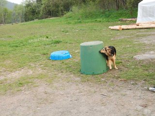 2010-05-22_ntb_9004
