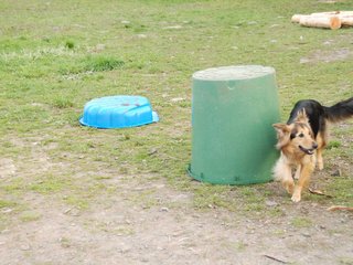 2010-05-22_ntb_9005