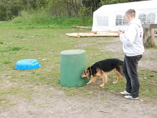 2010-05-22_ntb_9006