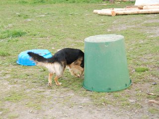 2010-05-22_ntb_9007
