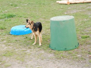 2010-05-22_ntb_9009