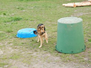 2010-05-22_ntb_9010