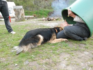 2010-05-22_ntb_9012