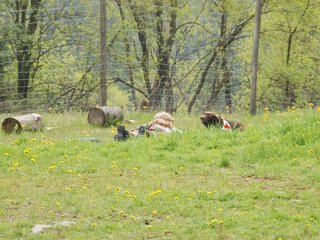 2010-05-22_ntb_8413