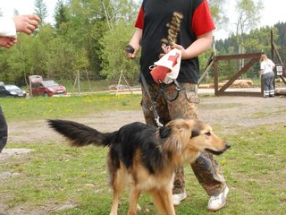2010-05-22_ntb_8416