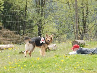 2010-05-22_ntb_8417