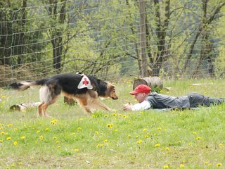 2010-05-22_ntb_8418