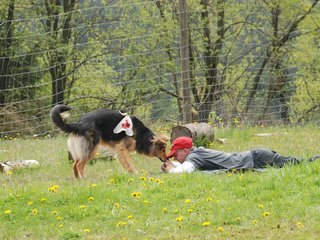 2010-05-22_ntb_8419