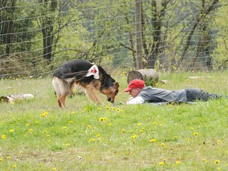 2010-05-22_ntb_8420