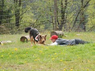 2010-05-22_ntb_8421