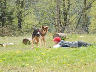 2010-05-22_ntb_8423
