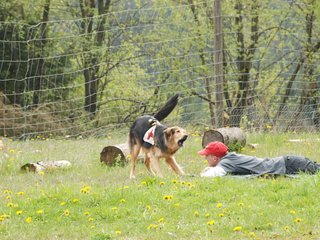 2010-05-22_ntb_8424