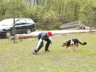 2010-05-22_ntb_8425