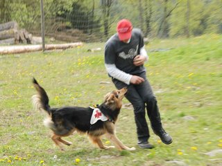 2010-05-22_ntb_8427
