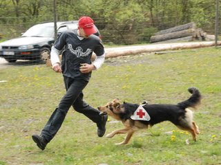 2010-05-22_ntb_8428