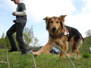 2010-05-22_ntb_8430