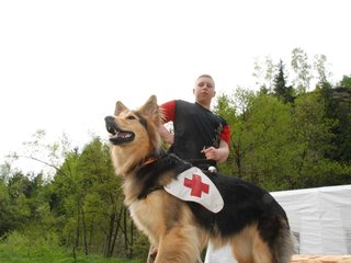 2010-05-22_ntb_8432