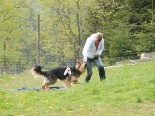 2010-05-22_ntb_8434