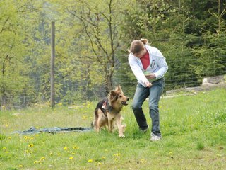 2010-05-22_ntb_8435
