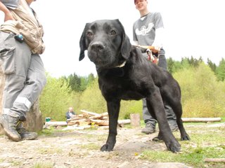 2010-05-22_ntb_8444