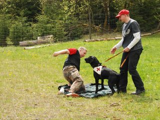 2010-05-22_ntb_8452