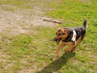 2010-05-22_ntb_8459