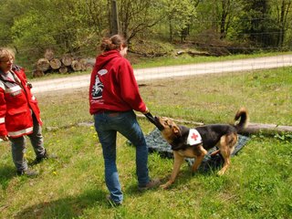 2010-05-22_ntb_8462