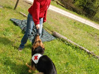 2010-05-22_ntb_8464