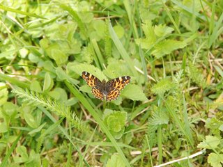 2010-05-22_ntb_8469