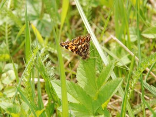 2010-05-22_ntb_8470