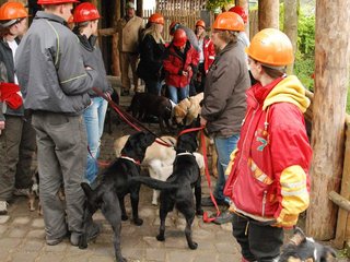 2010-05-24_ntb_9347
