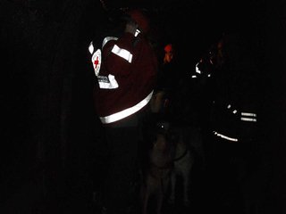 2010-05-24_ntb_9351