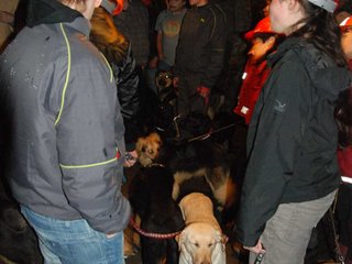2010-05-24_ntb_9354