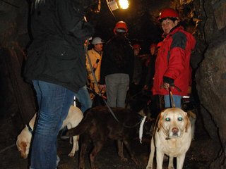 2010-05-24_ntb_9356